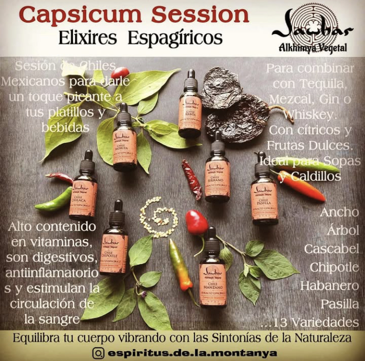 Capsicum Session — Elixires espagíricos de chiles mexicanos